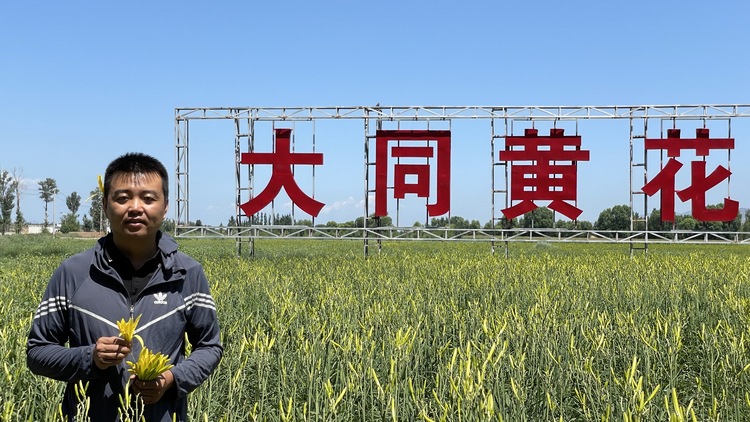 大同 “80後”小夥兒：手拿“金針”闖天下_fororder_黃花張1