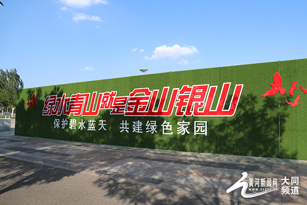 大同：秋花也爛漫 賞花正當時