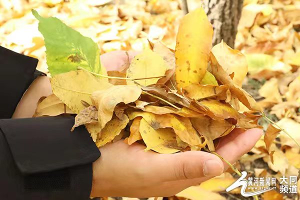 國慶與大同來一場秋的邂逅吧