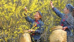 陽泉：富硒農業“硒”望無限