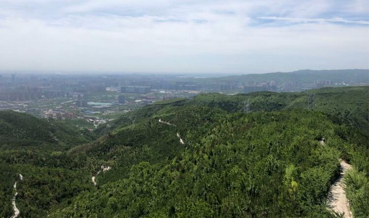 太原西山：荒山變“金山” “西山模式”擦亮綠色發展底色_fororder_1