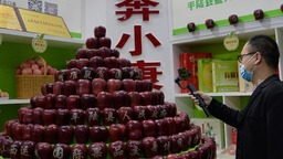 多款果品“首發”多國　山西運城水果何以突圍“出海”？