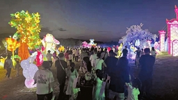太原晉陽湖畔“桃花島”火爆出圈