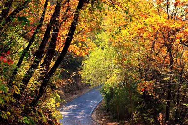 長治市仙堂山：紅葉滿山惹人“醉”
