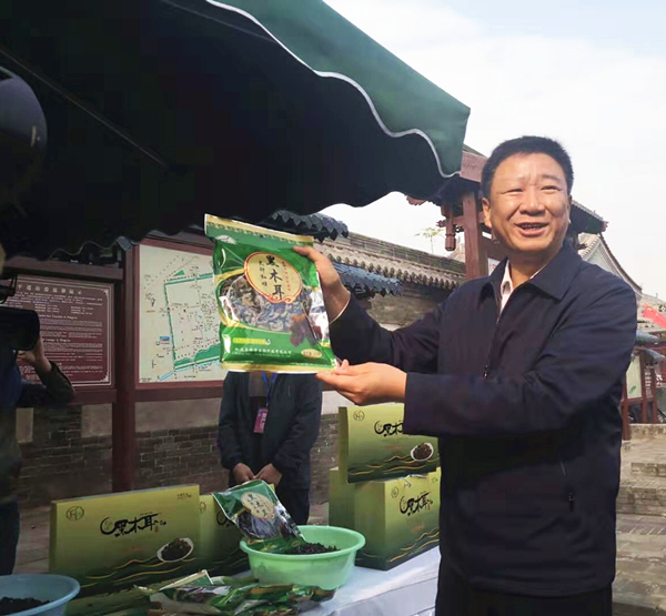 晉中市和順縣第二屆豐收節系列主題活動舉行