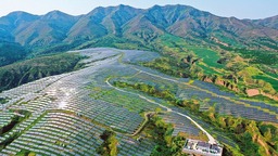 山西“綠電”推動産業升級