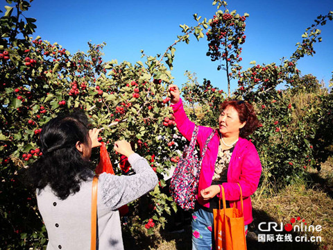 原創【CRI看山西-列表】【ChinaNews帶圖列表】【三晉大地-晉中】晉中平遙橫坡古村：發展鄉村旅遊促進鄉村振興