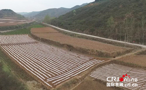 原創【CRI看山西-列表】【三晉大地-晉城】【首頁標題】晉城市樊村河鄉：多措並舉推進脫貧攻堅工作 【內容頁標題】晉城市樊村河鄉：特色農業促進全村增收 上下聯動助力脫貧攻堅