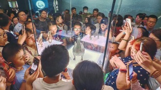 暑期文博熱：眾多遊客走進山西博物院感受歷史文化魅力
