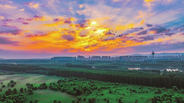 美麗的濕地晨景