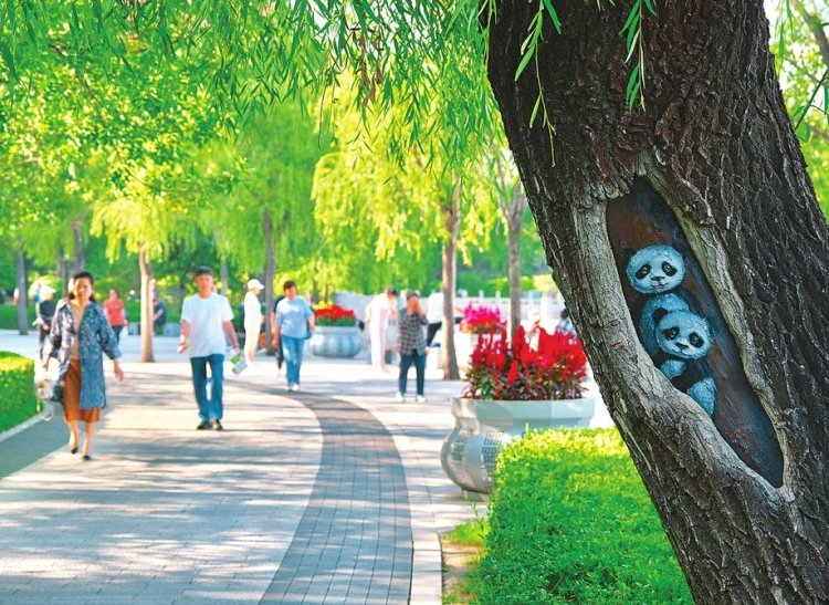 省城迎澤公園：樹洞畫成為視覺焦點 獲得市民好評_fororder_4e6aaf121113c7983b65c7427d902d63