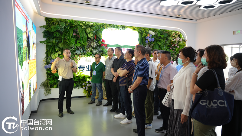 臺商話玉溪：高原農業“種草”現場 兩岸經貿“致富”密碼