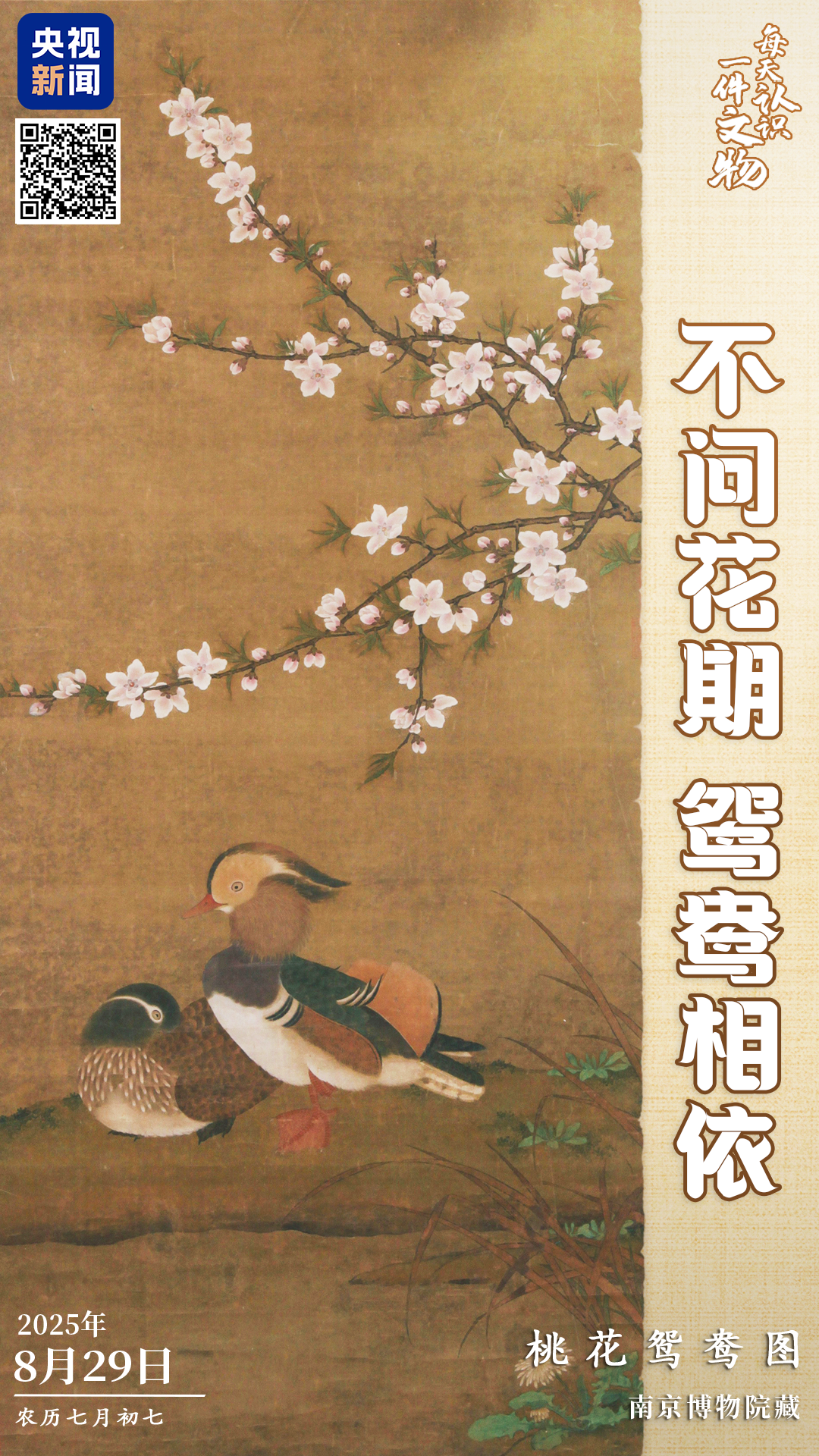 今日七夕，鵲橋下游來一對鴛鴦