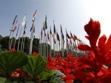 第八屆進博會:共享大市場,共創新機遇 第八屆進博會:共享大市場,共創新機遇