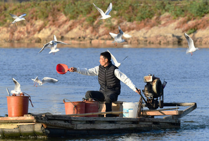 江山壯闊萬象新——習近平總書記引領中國式現代化新征程 江山壯闊萬象新——習近平總書記引領中國式現代化新征程