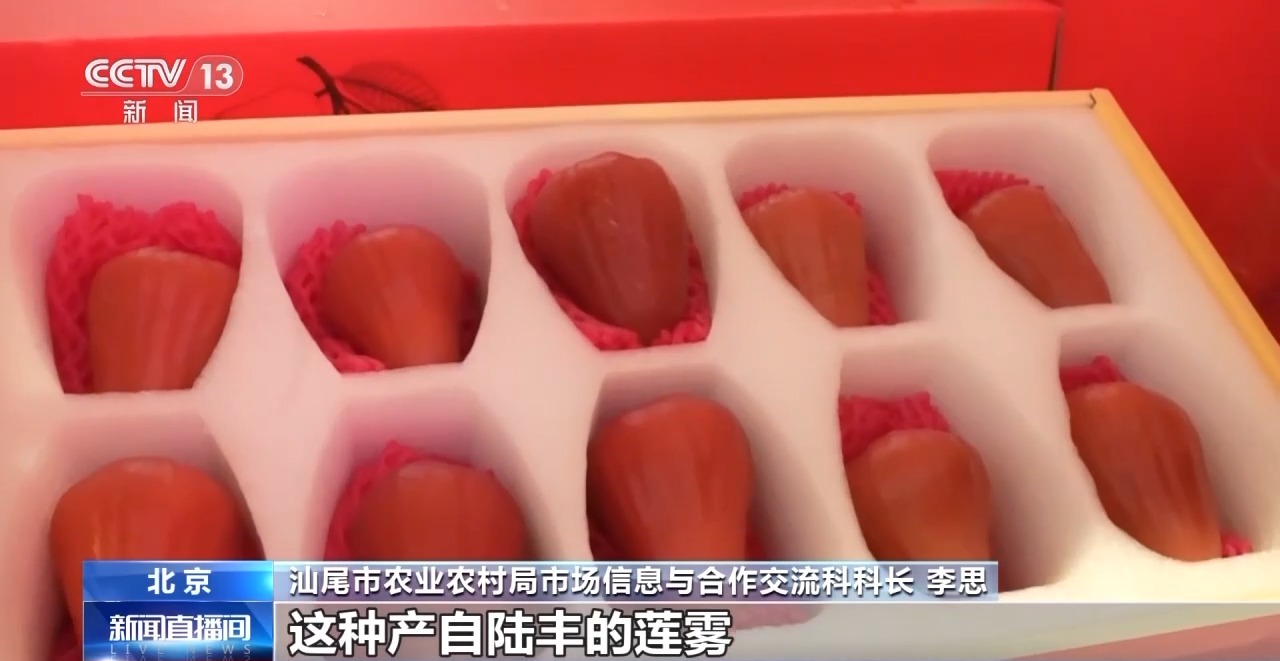 南貨北上 年貨“新”意足 年味更豐富