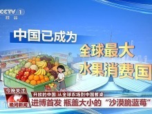 瓶蓋大的藍莓、不斷供的榴蓮 來看“甜蜜”的中國機遇 瓶蓋大的藍莓、不斷供的榴蓮 來看“甜蜜”的中國機遇