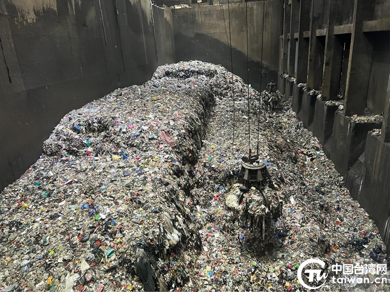 台灣青年走進廣州，探尋科創與生態的融合密碼