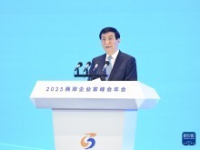 2025兩岸企業家峰會年會在南京舉行 王滬寧出席開幕式並致辭 2025兩岸企業家峰會年會在南京舉行 王滬寧出席開幕式並致辭