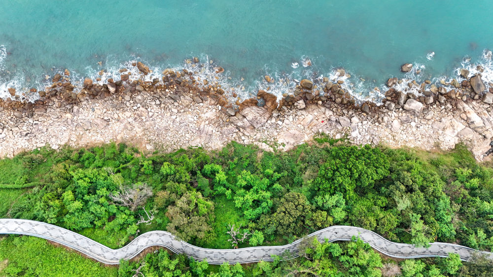 體育地理丨躍動大灣區