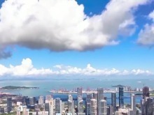 制度創新步伐加快 自貿試驗區建設邁上新臺階