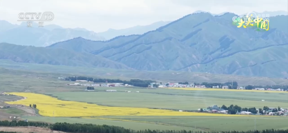 壯闊花浪、浪漫荷香……打卡大美中國夏日限定美景