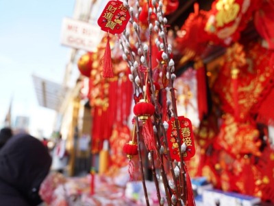 美國紐約：迎春節 氣氛濃