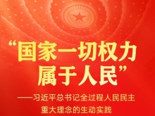 習近平總書記全過程人民民主重大理念的生動實踐