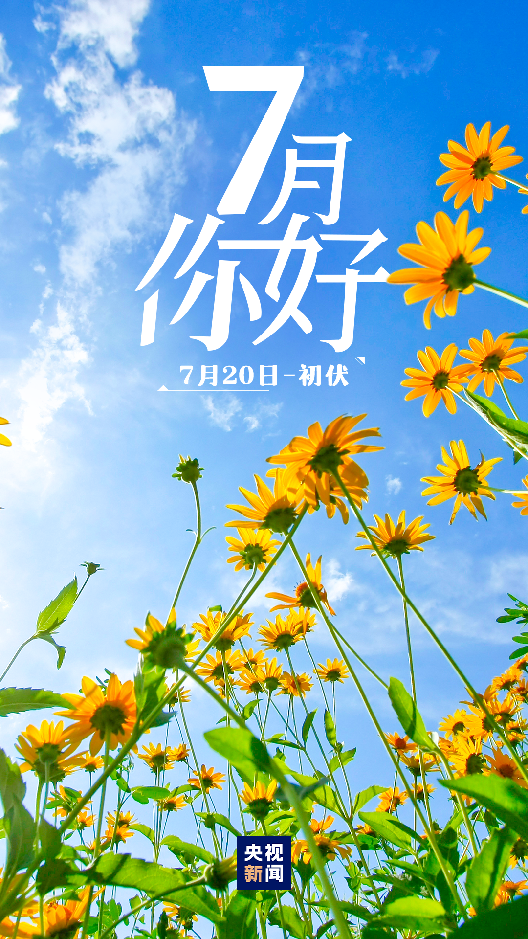 7月，你好！
