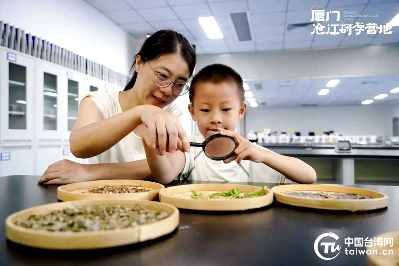 “廈金童樂 艾香傳情”2025年兩岸金胞親子研學營在海滄成功舉辦