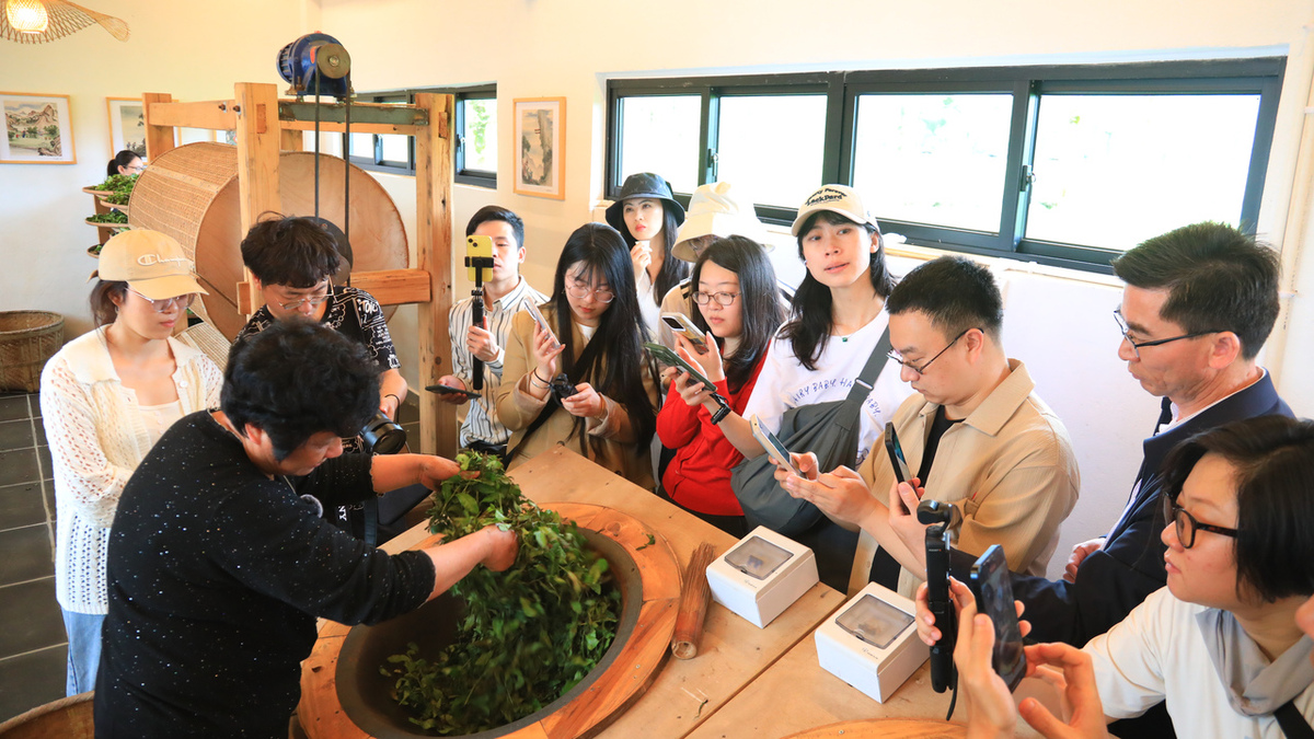 振興路上，南平書寫“三茶統籌”生態答卷