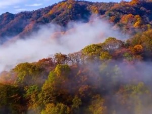 瞰四川｜多彩光霧山