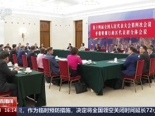 兩會開放團組·香港丨厚植香江生態根基 共建美麗中國先行區