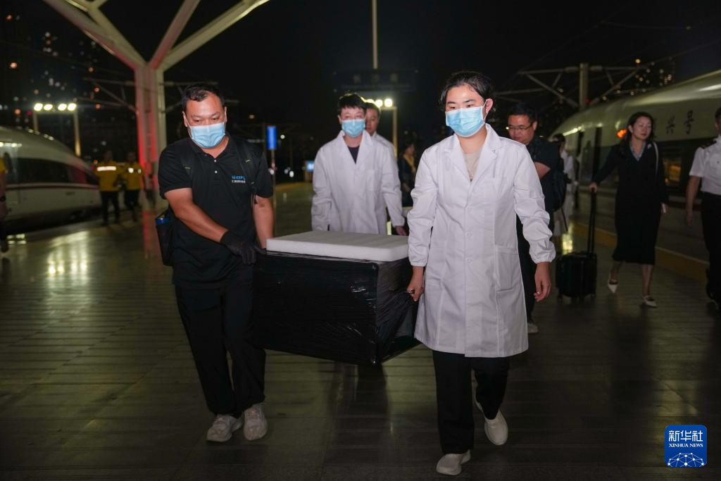 國寶安家！子彈庫戰國帛書正式入藏湖南省博物館