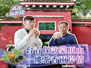 【兩岸新發現】臺青探訪蒙頂山 一縷茶香兩岸情