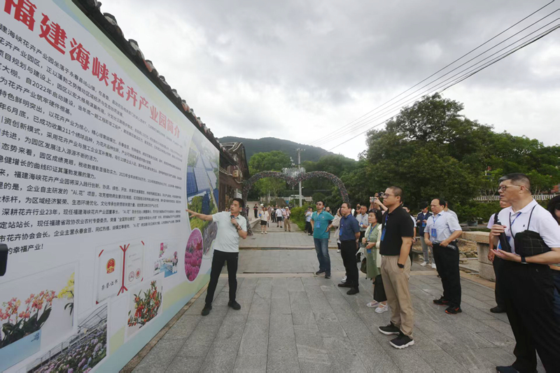 第十七屆海峽論壇·兩岸特色鄉鎮交流對接暨和美鄉村發展論壇舉行
