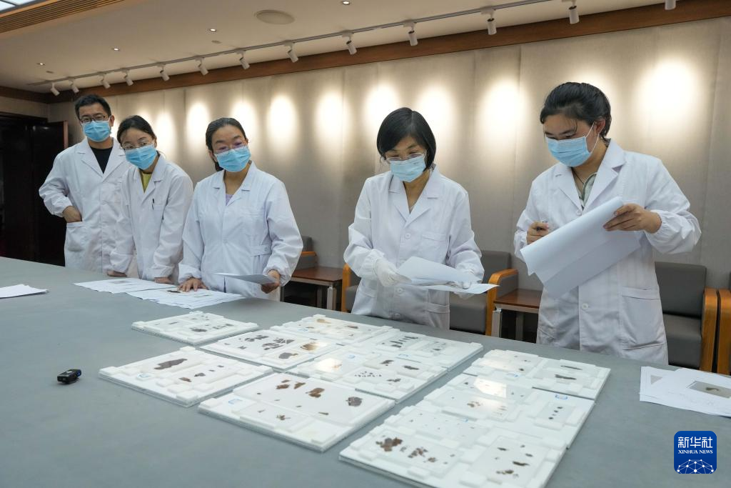 國寶安家！子彈庫戰國帛書正式入藏湖南省博物館