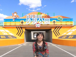 台灣網紅點讚S21阿烏高速公路 沉浸式感受新疆沙漠旅遊公路魅力