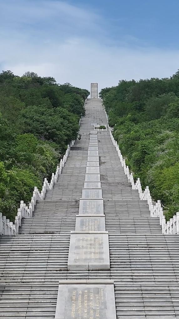 張自忠·將軍拔刀起 誓死衛山河