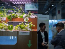 海內外人士澳門共探綠色低碳發展實踐機遇