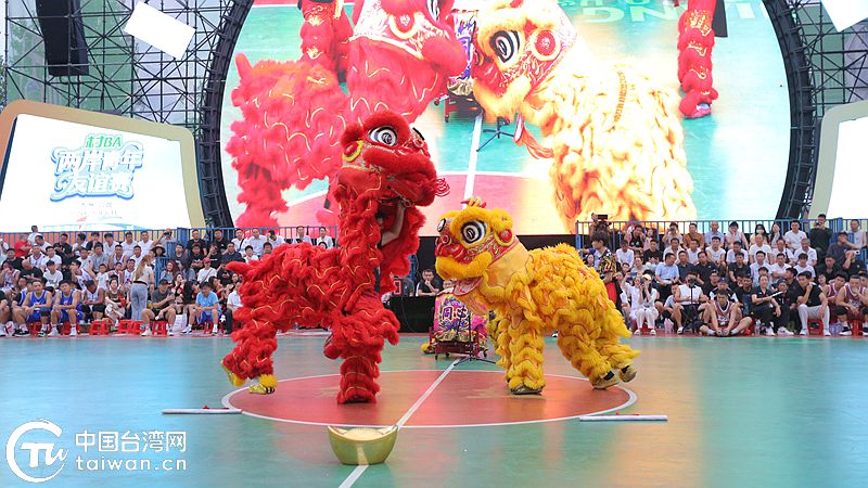 超燃！臺盤夜！黔臺青年“村BA”激情完滿完賽