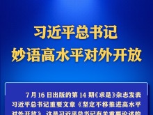學習進行時丨習近平總書記妙語高水準對外開放