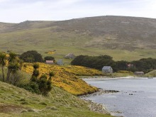 阿根廷重申對馬爾維納斯群島主權 阿根廷重申對馬爾維納斯群島主權