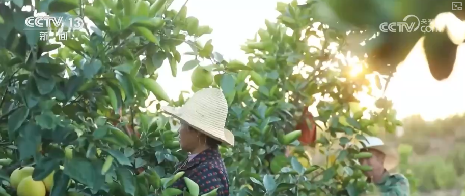 1623.9億元、263.2萬億元、506億人次，活躍！“數”看中國經濟三季報