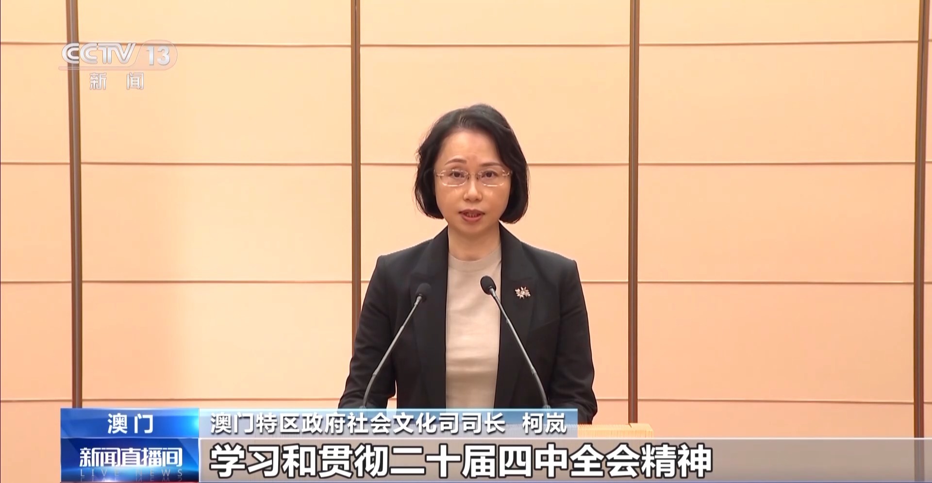 澳門各界：貫徹落實黨的二十屆四中全會精神 貢獻澳門力量