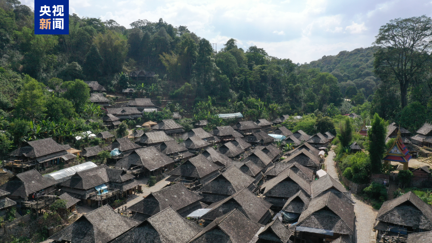 世界遺産地普洱景邁山10月1日起試行免費預約入園