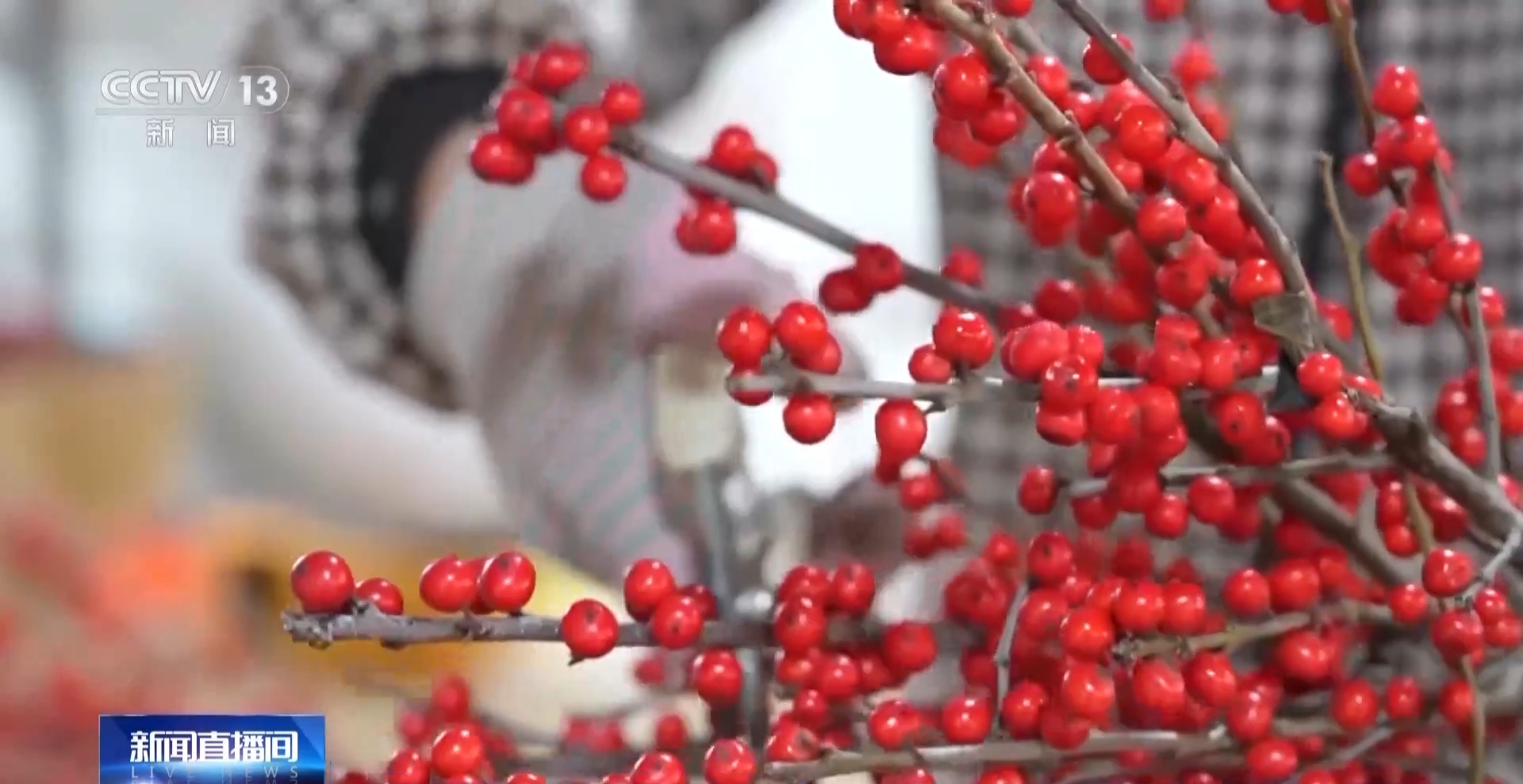 鬧社火、賞花燈、逛大集 新春將至各地年味漸濃