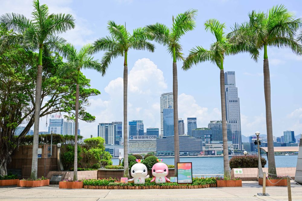 體育地理丨躍動大灣區