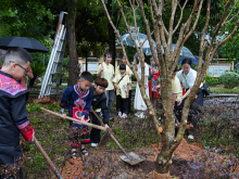 “兩岸一家親”的青春注腳：景臺青少年共植同心樹同唱畬語歌