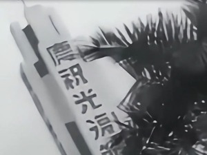 紀念台灣光復80週年，台灣青年這樣説